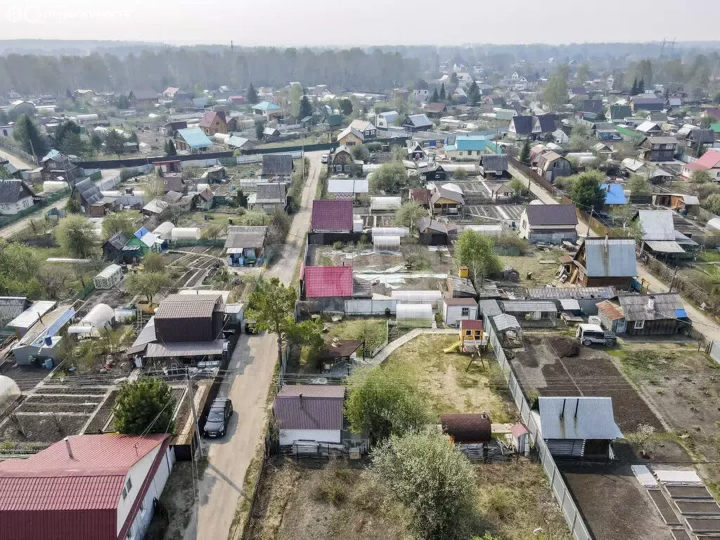 Участок в Тюмень, территория СОСН Автоприбор, Кедровая улица (4.96 м) - Фото 1