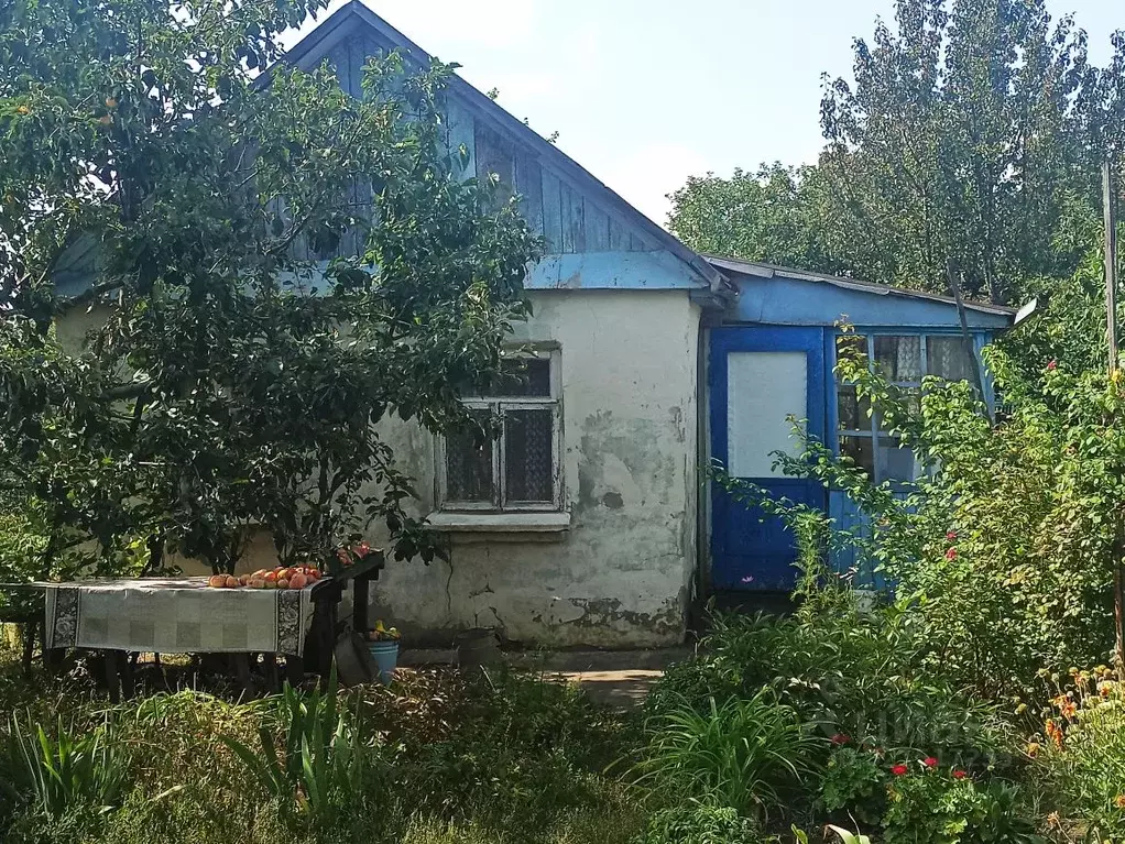 Дом в Саратовская область, Саратов проезд 3-й Беловежский (29 м) - Фото 1