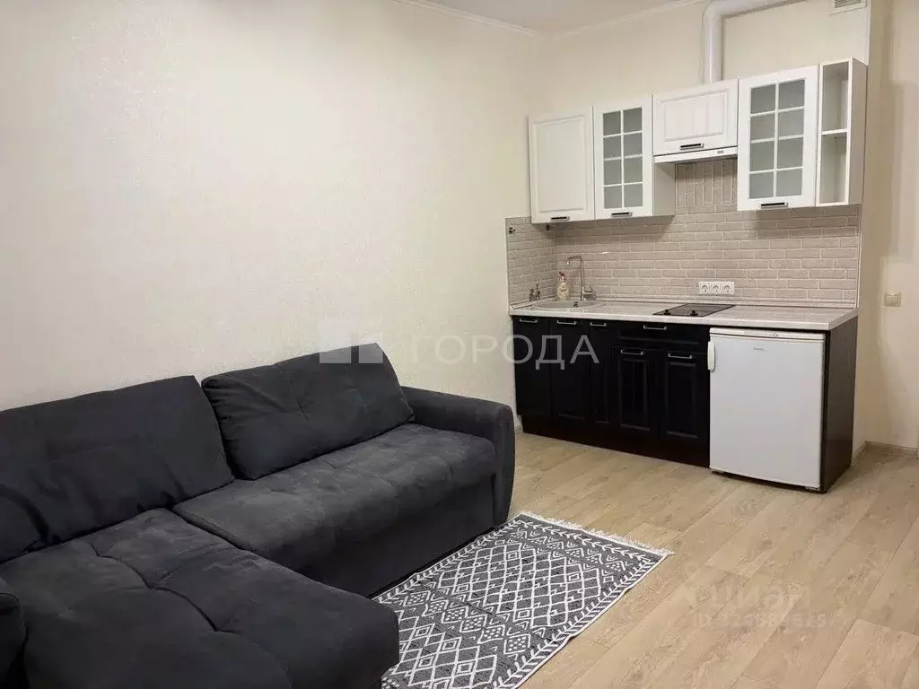 Студия Новосибирская область, Новосибирск Приморская ул., 24 (24.9 м) - Фото 1