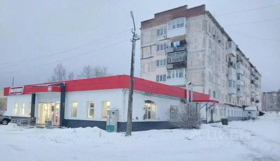 Помещение свободного назначения в Пермский край, Александровск ул. ... - Фото 1