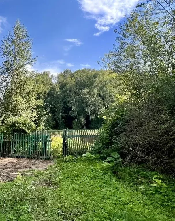 Участок в Московская область, Солнечногорск городской округ, Лесные ... - Фото 0
