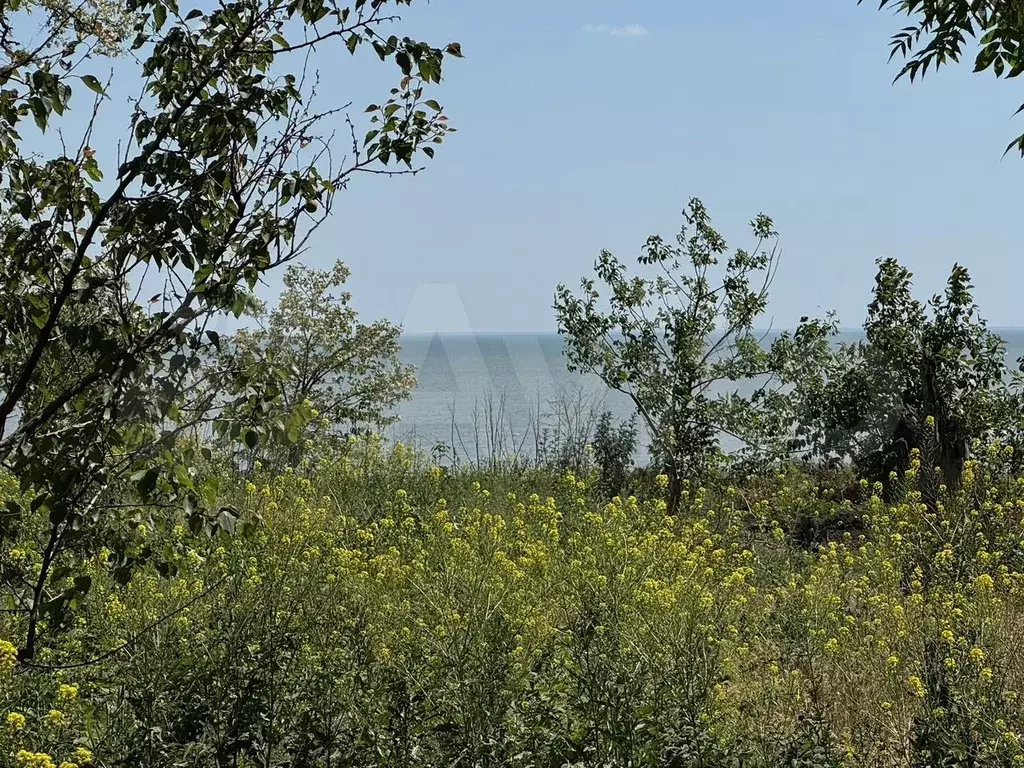 Дом 65 м на участке 12 сот. - Фото 1