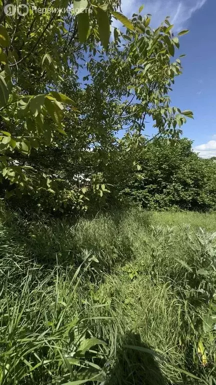Участок в Горячий Ключ, улица Заречье, 57 (11 м) - Фото 2