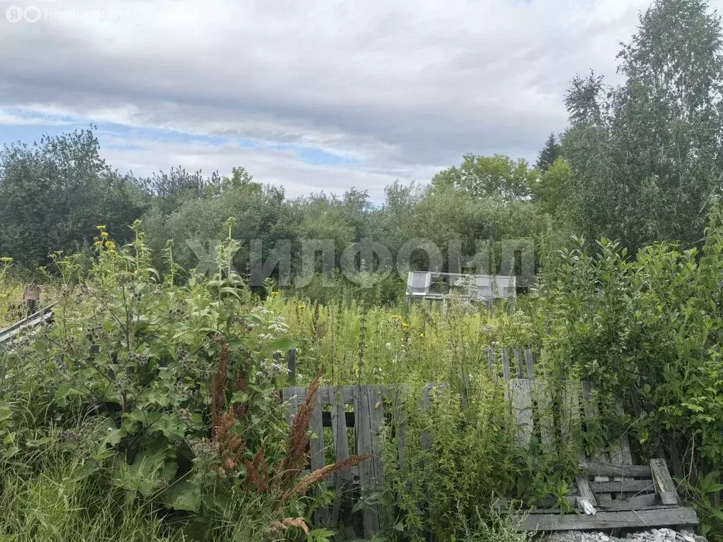 Участок в Новосибирск, СНТ Золотая Горка (9 м) - Фото 0