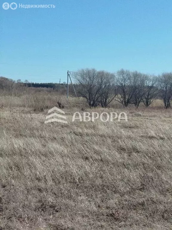 Участок в Амурская область, село Ивановка (75.37 м) - Фото 2