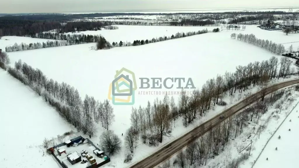 Участок в Ленинградская область, Ломоносовский район, Пениковское ... - Фото 1