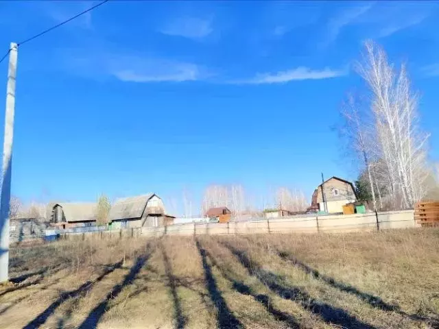 Участок в Новосибирская область, Новосибирский район, Новолуговской ... - Фото 2