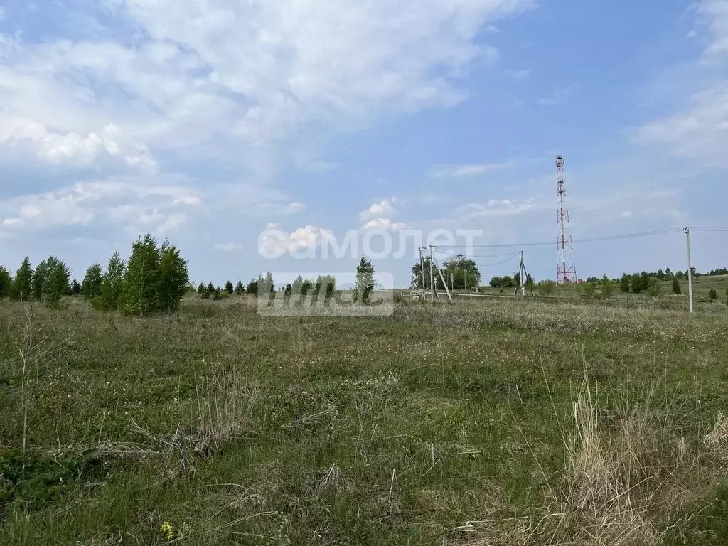 Участок в Свердловская область, Арти пгт ул. Ленина (14.23 сот.) - Фото 0