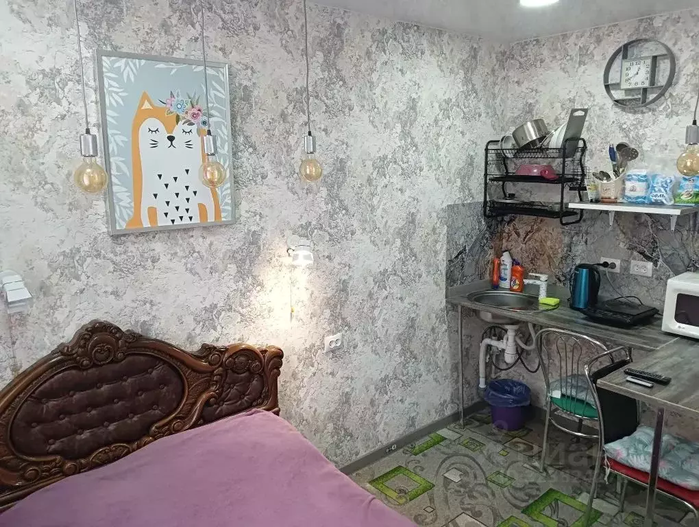 Студия Камчатский край, Петропавловск-Камчатский Владивостокская ул., ... - Фото 2