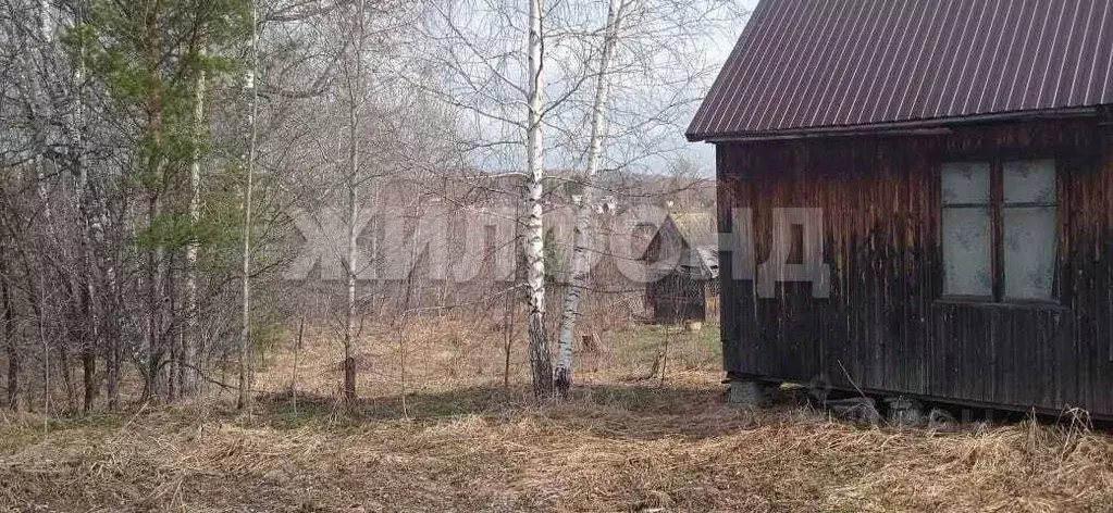 Дом в Новосибирская область, Новосибирский район, Барышевский ... - Фото 0