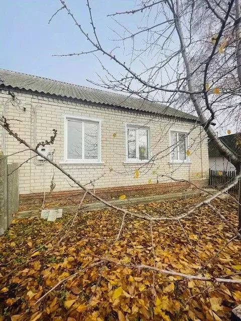 Дом в Белгородская область, Алексеевский муниципальный округ, с. ... - Фото 1