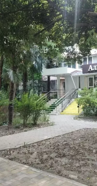 Помещение свободного назначения в Краснодарский край, Сочи Центральный ... - Фото 1