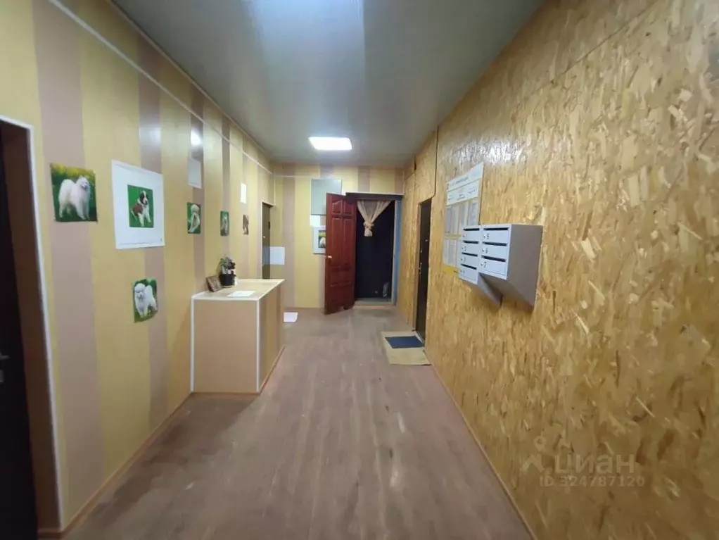 Студия Московская область, Ступино городской округ, д. Радужная ул. ... - Фото 2