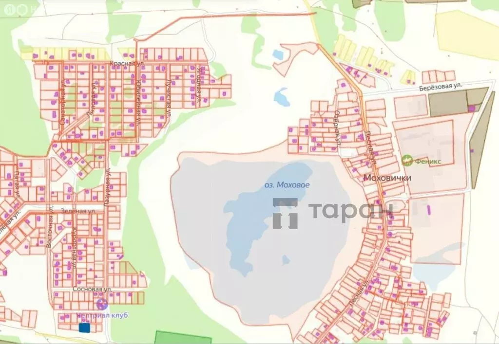 Участок в Челябинская область, Сосновский муниципальный округ, деревня ... - Фото 2