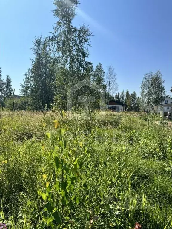 Участок в Ленинградская область, Всеволожский район, Агалатовское ... - Фото 0