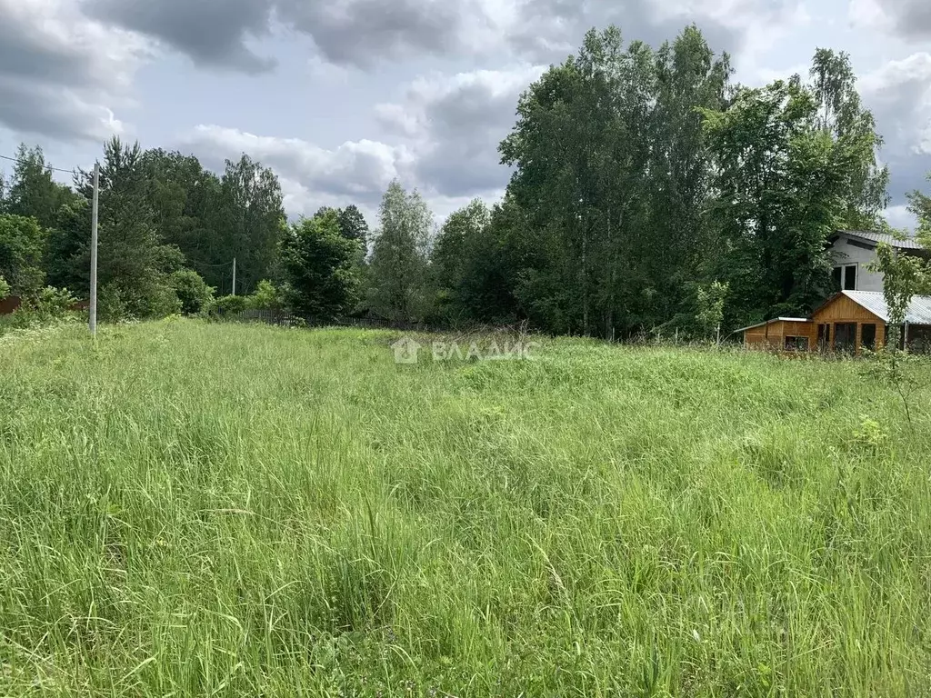 Участок в Владимирская область, Гороховецкий район, Куприяновское ... - Фото 0
