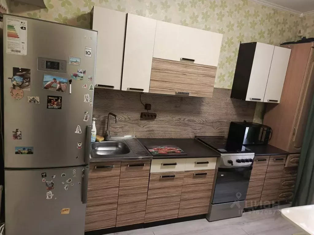 1-к кв. Краснодарский край, Новороссийск Цемдолина тер., ул. ... - Фото 2