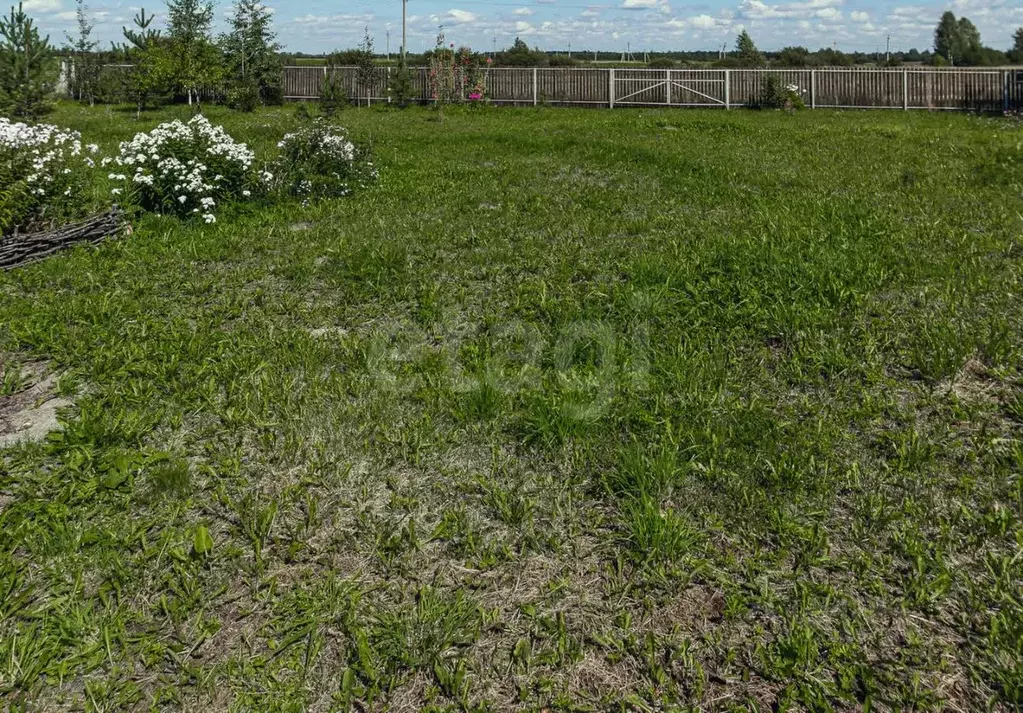 Дом в Вологодская область, д. Цыпоглазово  (12 м) - Фото 1