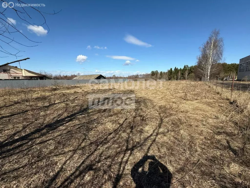 Участок в Медведевский район, Люльпанское сельское поселение, деревня ... - Фото 2