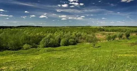 Участок в Московская область, Клин городской округ, д. Третьяково 20 ... - Фото 1