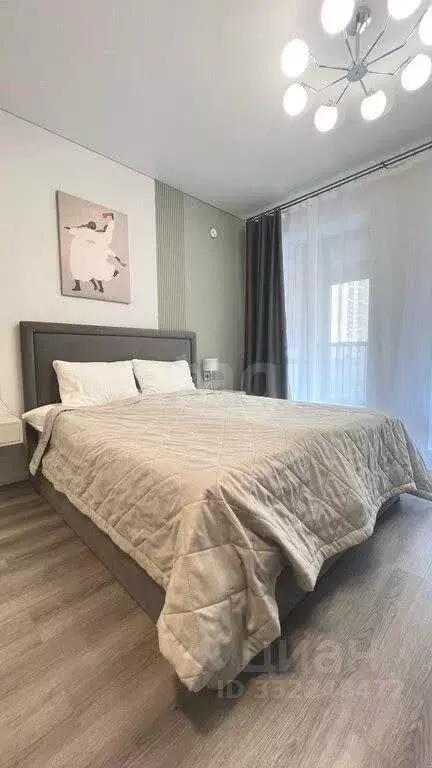 Студия Санкт-Петербург Дальневосточный просп., 23 (23.5 м) - Фото 1