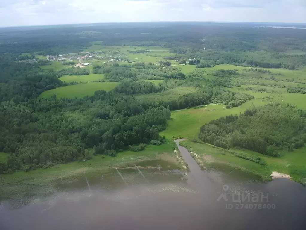 Участок в Тверская область, Осташковский городской округ, д. Хитино  ... - Фото 1