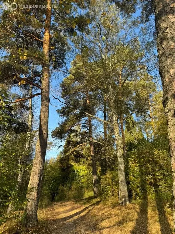 Участок в Москва, ТАО, Краснопахорский район, СНТСН Подолье, ... - Фото 1