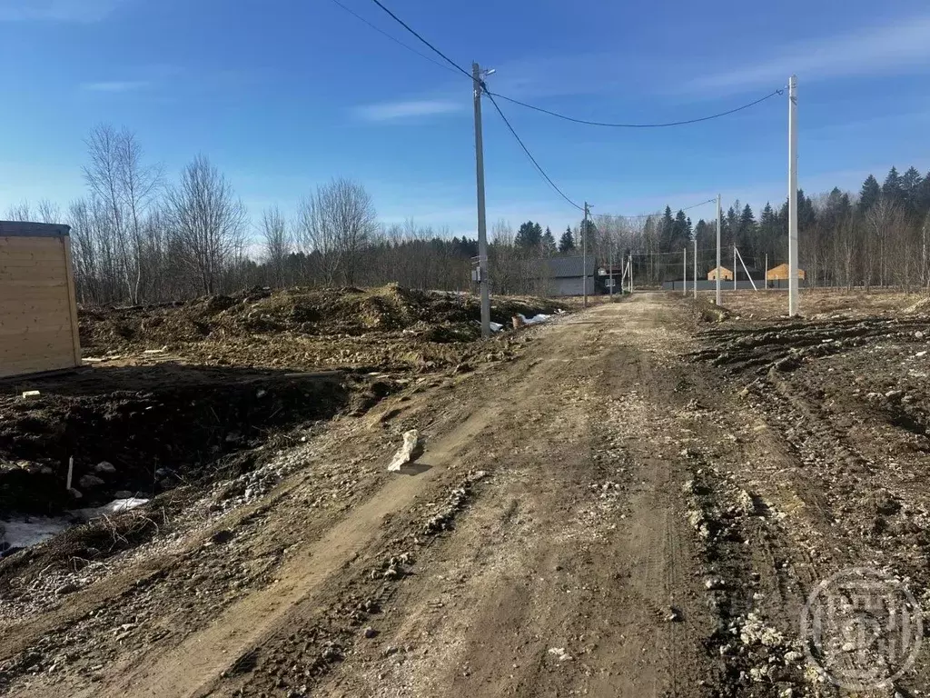Участок в Ленинградская область, Ломоносовский район, Лопухинское ... - Фото 1