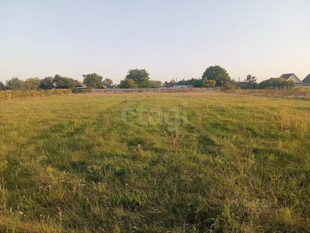 Участок в Белгородская область, Губкинский городской округ, с. Аверино ... - Фото 0