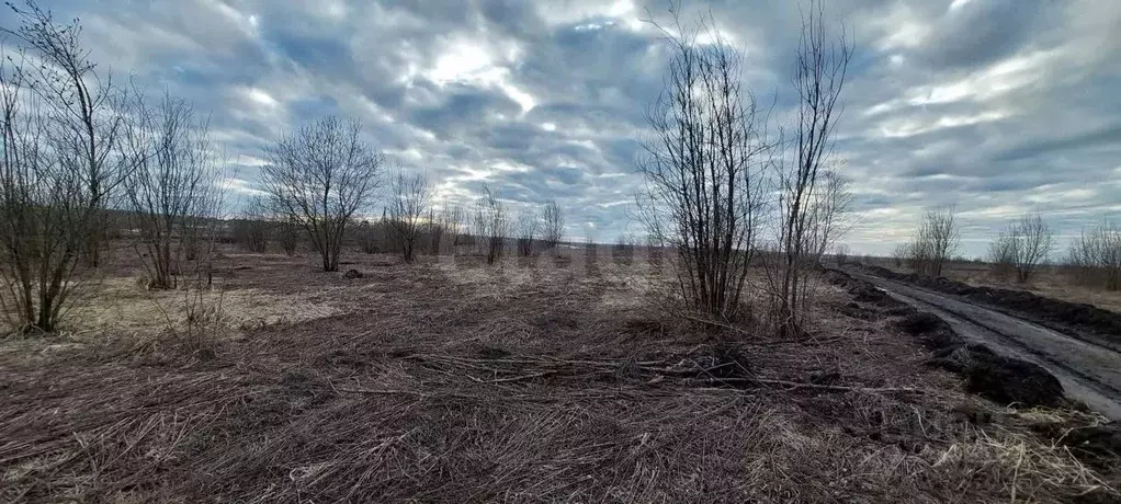 Участок в Брянская область, Брянский район, Отрадненское с/пос, с. ... - Фото 1