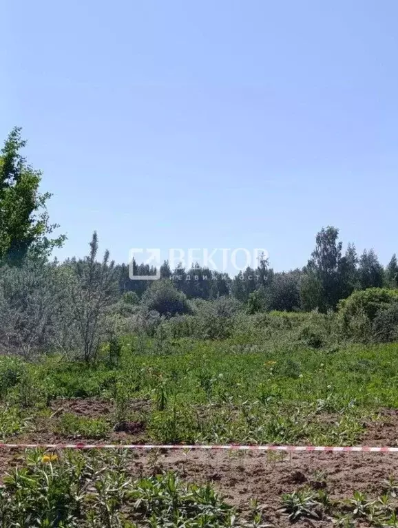 Участок в Костромская область, Кострома Веснянка садоводческое ... - Фото 2