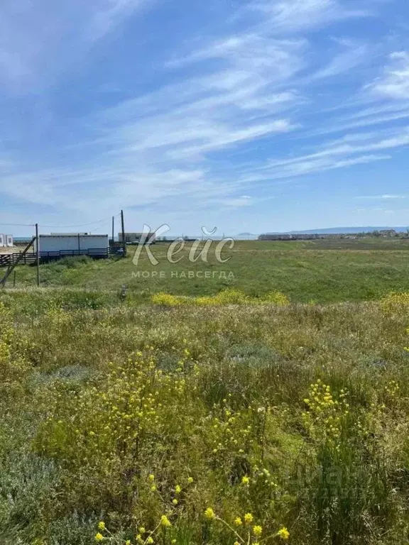 Участок в Крым, Ленинский район, Батальненское с/пос, Нептун СНТ  (6.0 ... - Фото 1