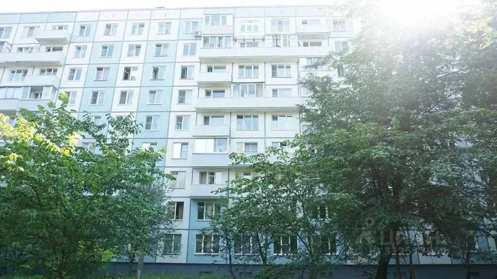Комната Санкт-Петербург просп. Маршала Блюхера, 65 (18.8 м) - Фото 1