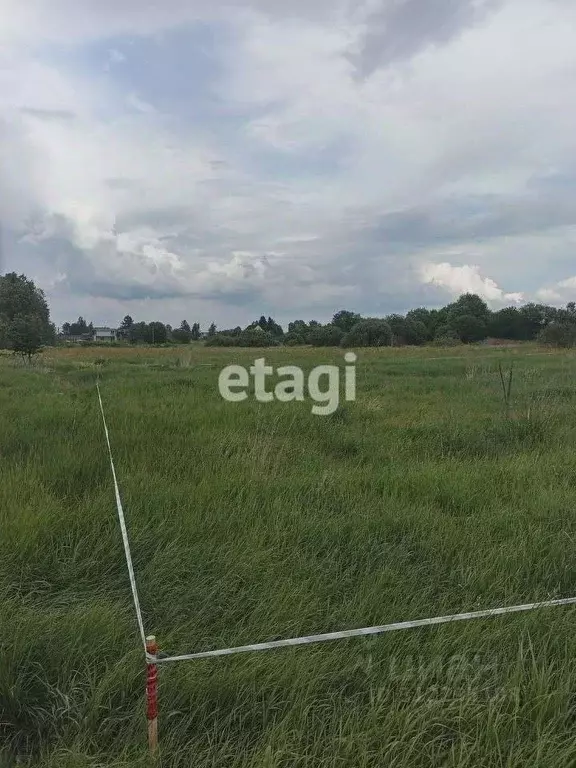 Участок в Ленинградская область, Гатчинский район, д. Сабры  (11.0 ... - Фото 0