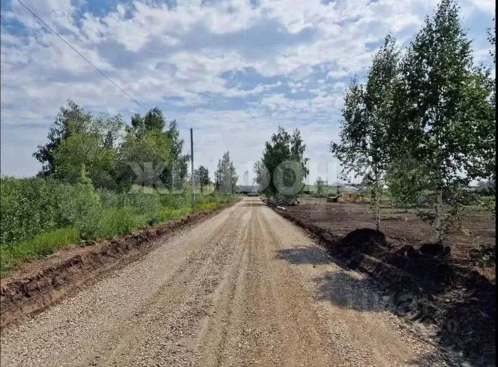Участок в Алтайский край, Барнаул ул. Оливковая (8.0 сот.) - Фото 1