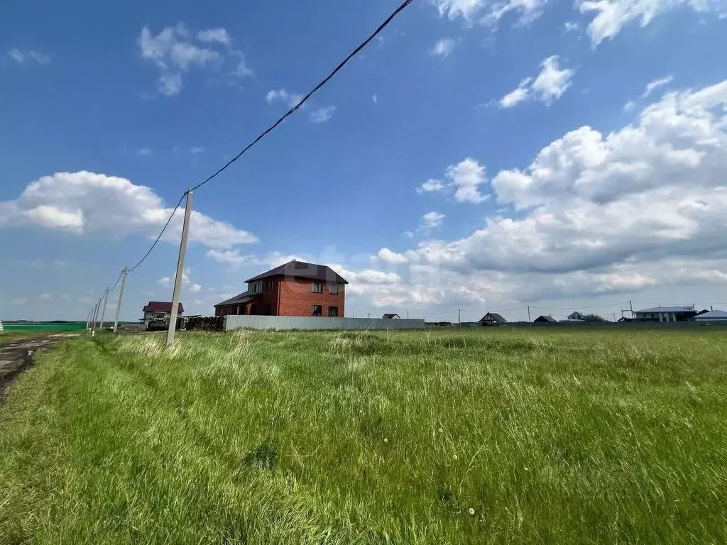 Участок в Новосибирская область, Новосибирский район, Толмачевский ... - Фото 2