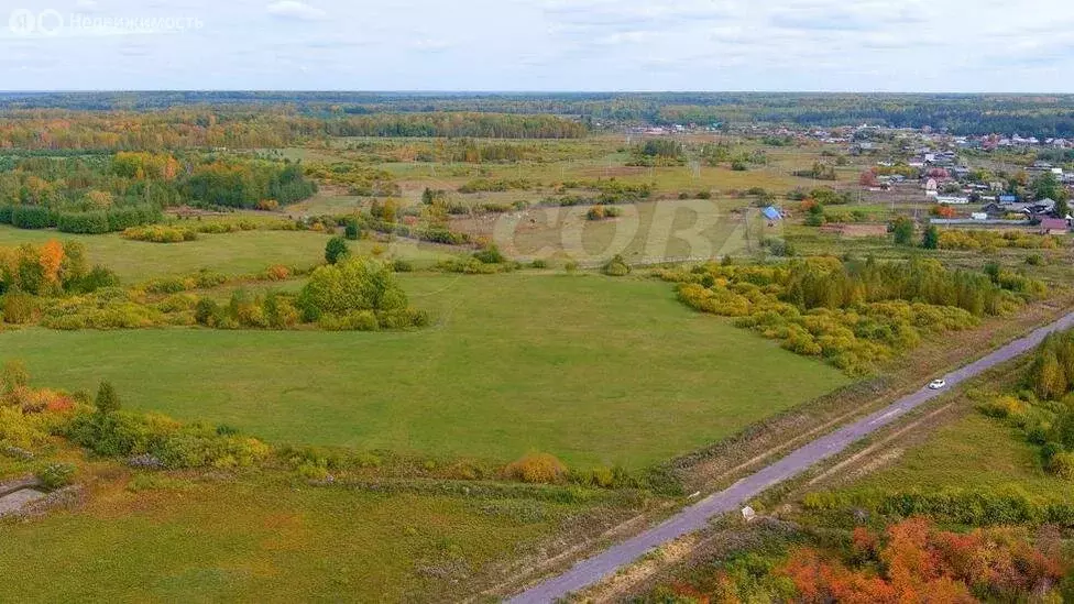 Участок в Усть-Ницинское сельское поселение, деревня Ермолина (12 м) - Фото 2