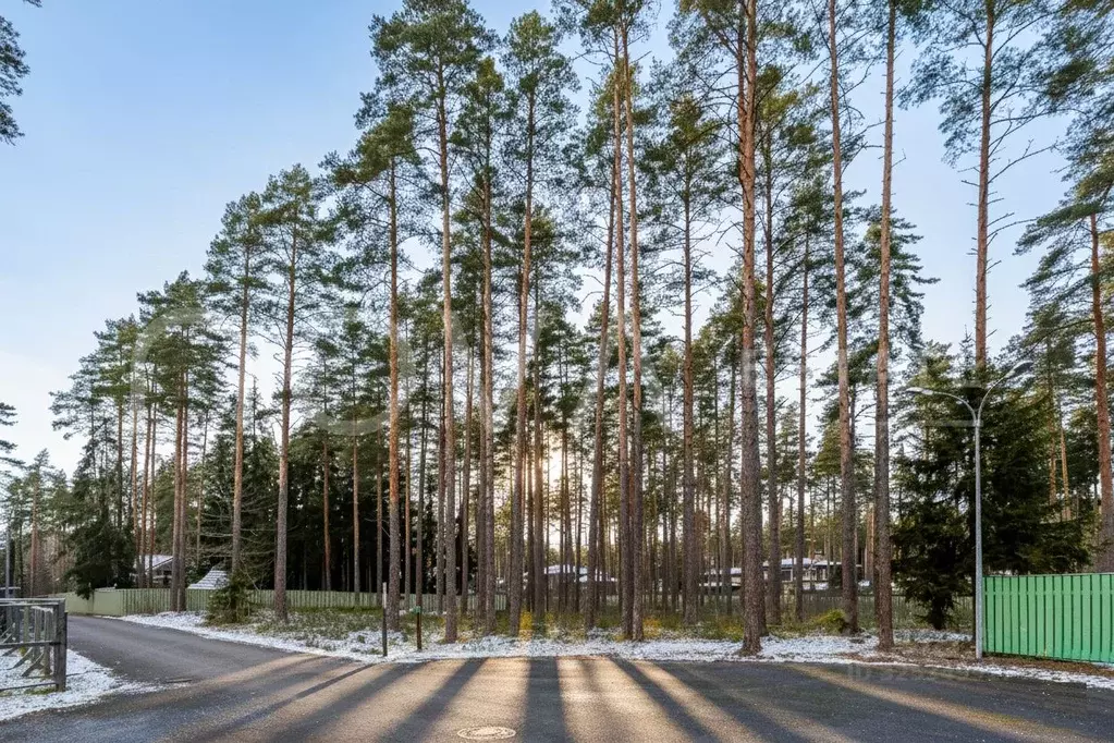 Участок в Санкт-Петербург, Санкт-Петербург, Зеленогорск ул. Танкистов ... - Фото 1