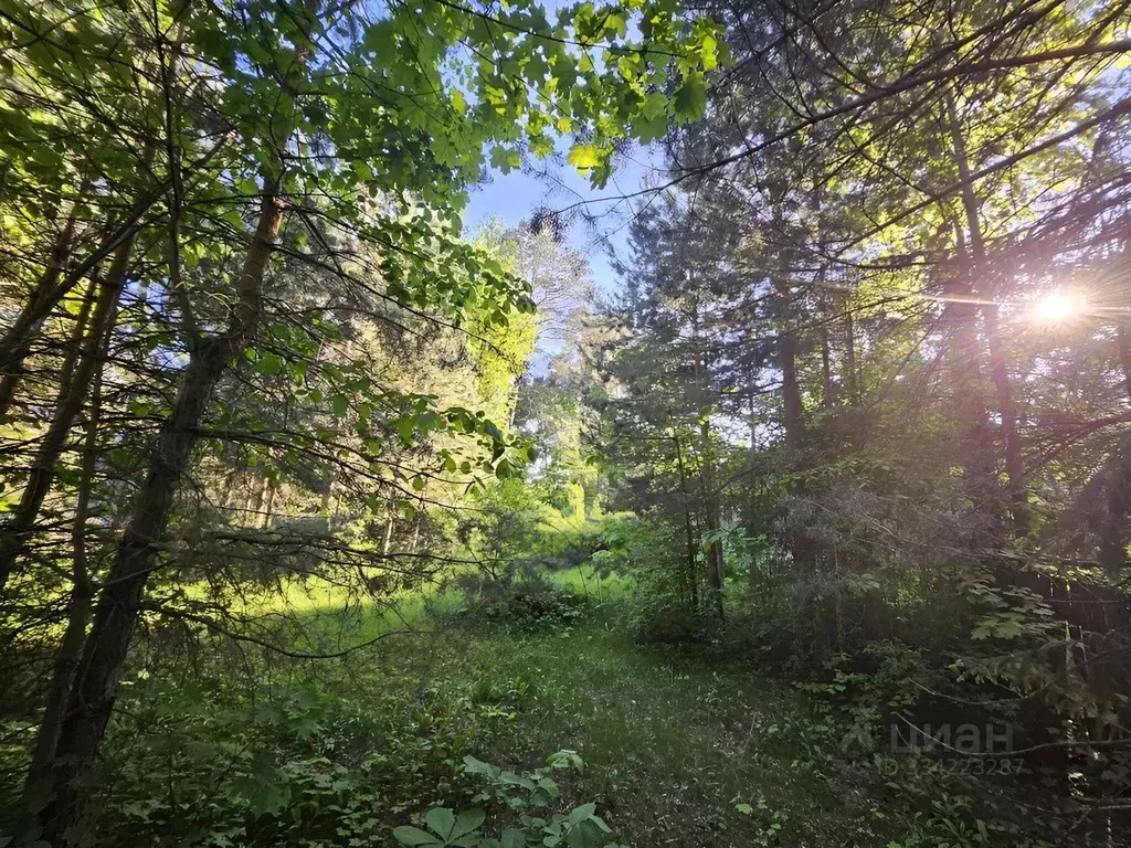 Участок в Московская область, Одинцовский городской округ, д. Жуковка  ... - Фото 1
