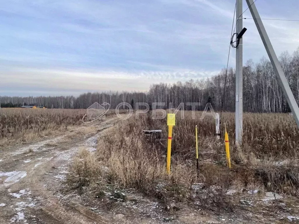 Участок в Тюменская область, Тюменский район, с. Кулига ул. ... - Фото 0