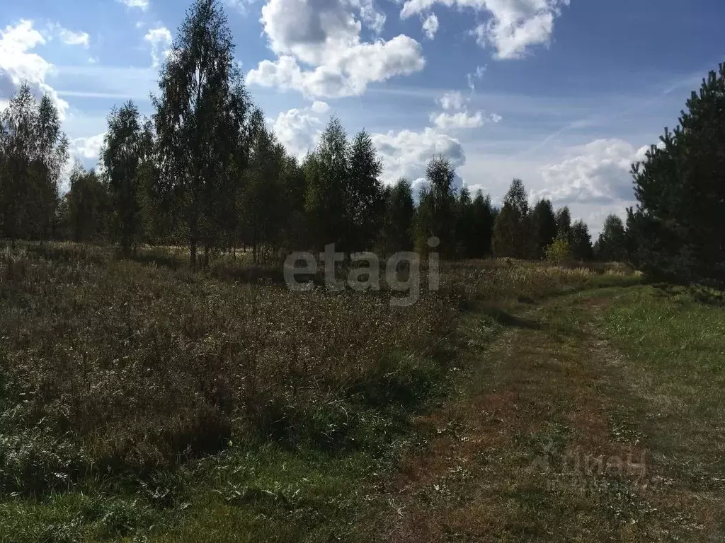 Участок в Ярославская область, Некрасовский муниципальный округ, д. ... - Фото 1