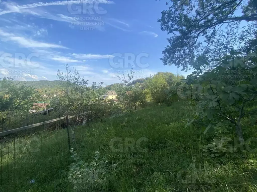 Участок в Краснодарский край, Сочи городской округ, с. Прогресс пер. ... - Фото 2
