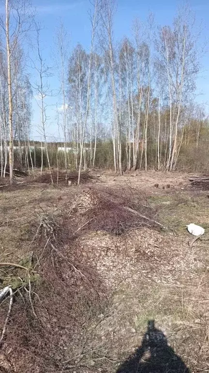 Участок в Московская область, Орехово-Зуевский городской округ, д. ... - Фото 0