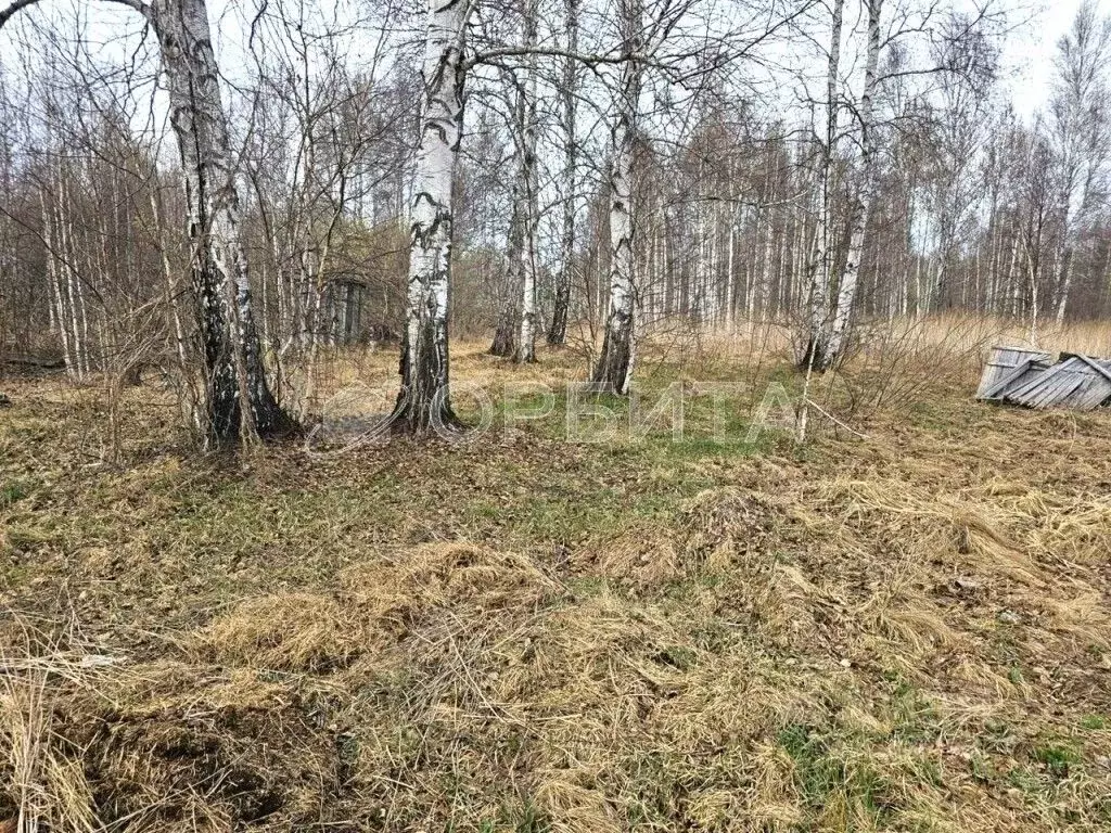 Участок в Тюменская область, Нижнетавдинский район, Фортуна СТ ул. 7-я ... - Фото 0