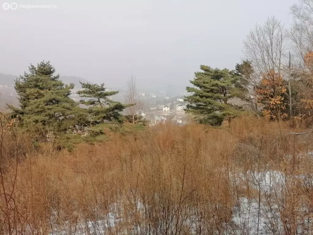 Участок в Артём, садовое некоммерческое товарищество Сопка (10 м) - Фото 1