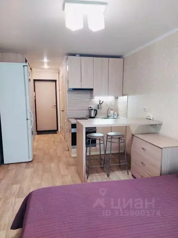 Студия Татарстан, Казань ул. Татарстан, 51 (20.0 м) - Фото 0