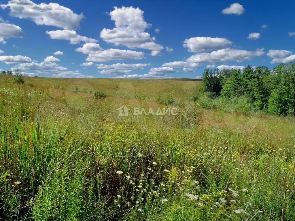 Участок 740 га (СНТ, ДНП) - Фото 1