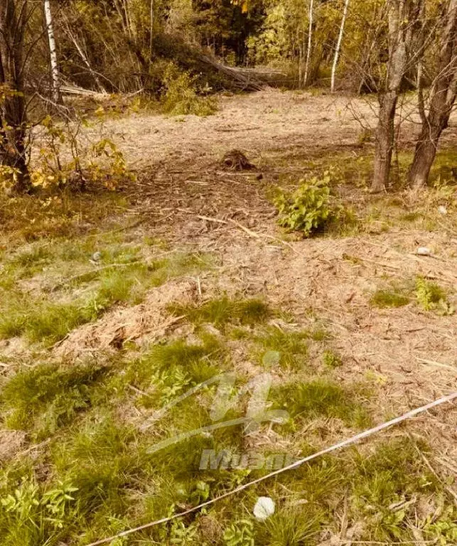 Продается участок в д. Сальково - Фото 2