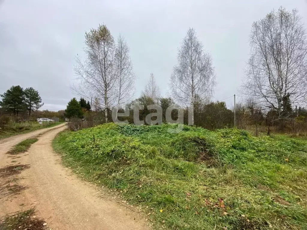 Участок в Костромская область, Судиславский район, Расловское с/пос, ... - Фото 2
