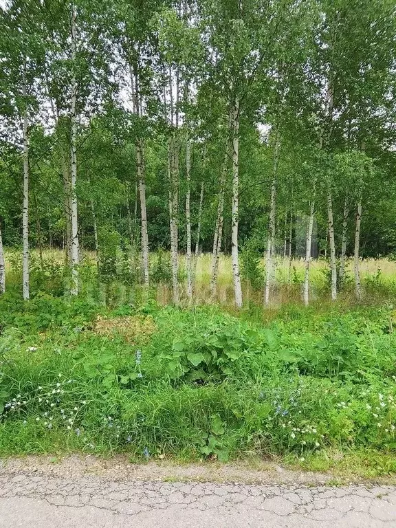 Дом в Нижегородская область, Нижний Новгород Шлиссельбургская ул., 8 ... - Фото 2